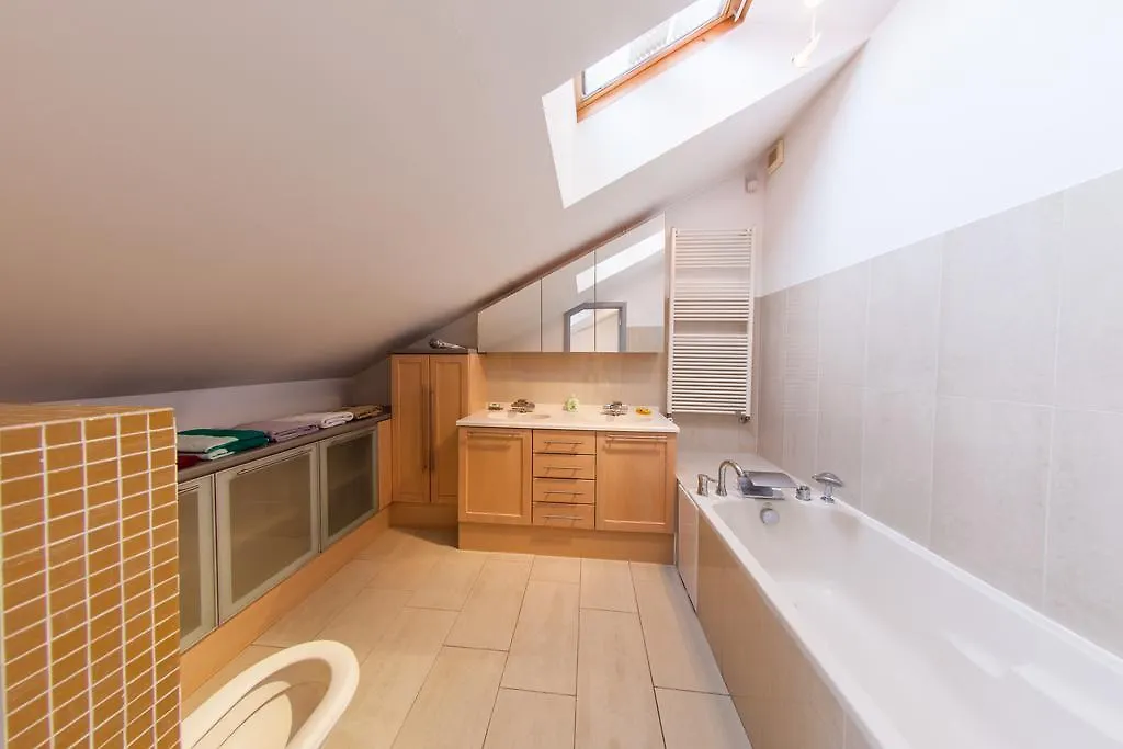 Mansard Apartment Antonovicha 4 Kyiv