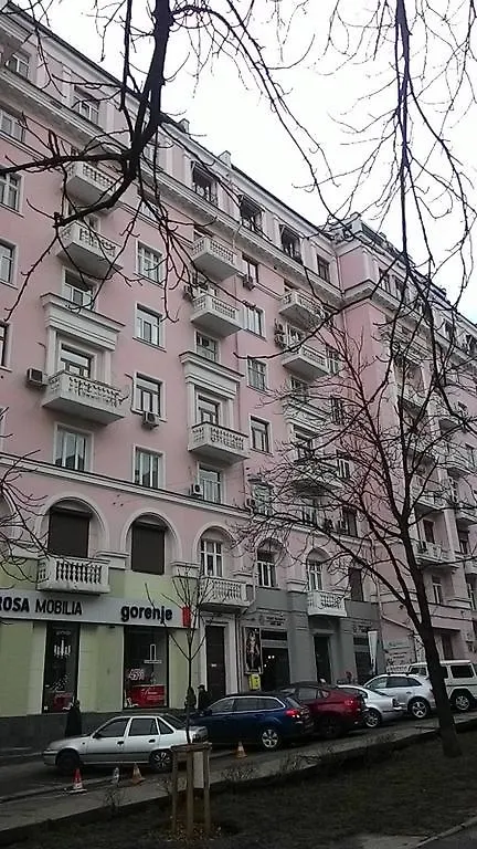 Mansard Apartment Antonovicha 4 Kyiv